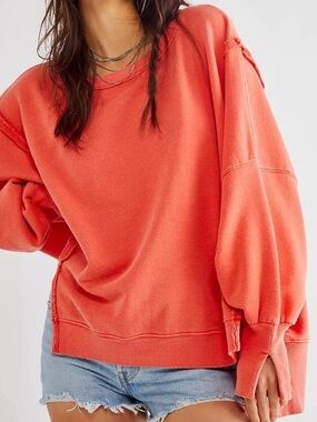 Free People We The Free Camden Sweatshirt | Small